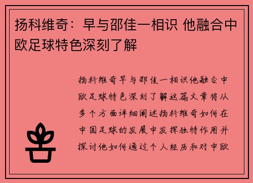 扬科维奇：早与邵佳一相识 他融合中欧足球特色深刻了解